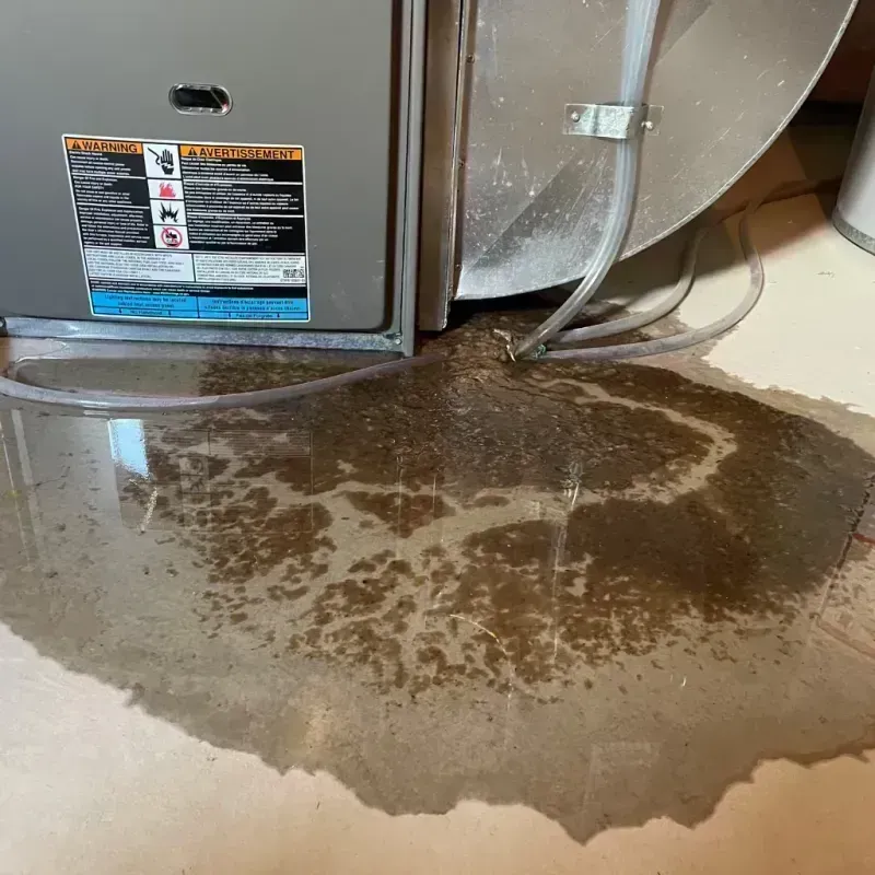 Appliance Leak Cleanup in Homer, IL